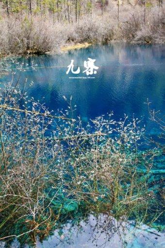 影视工厂