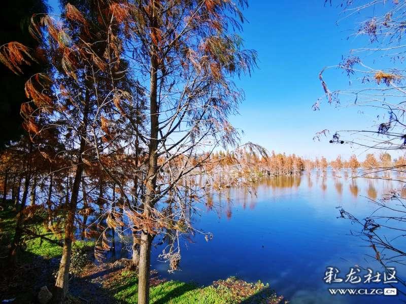 《大宅门》:白玉婷不肯与万筱菊共处一室,背后原来有惊人秘密!